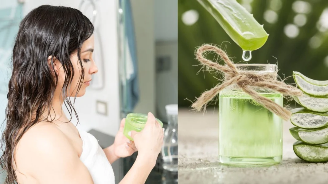 Benefits Of applying Aloe vera on Hairs