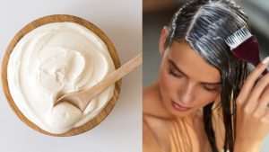 Curd Apply On hair