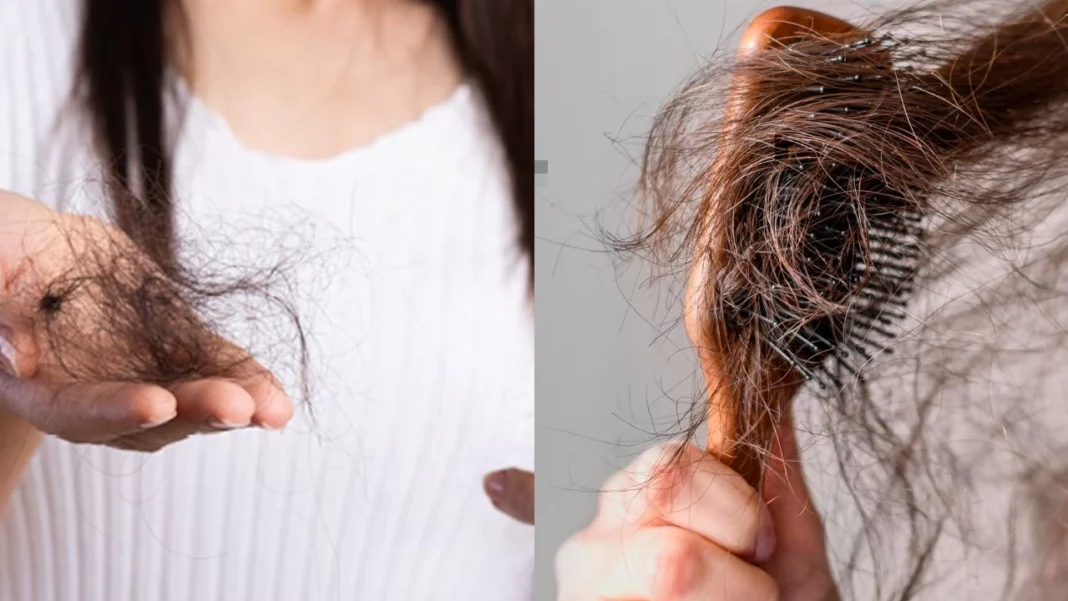 Tips To Control Hair fall