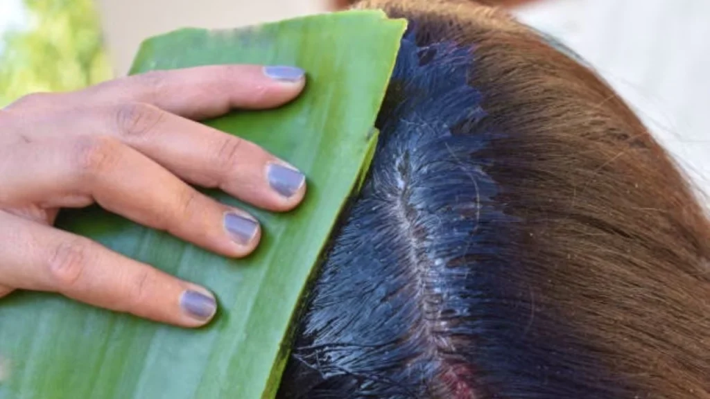 applying Aloe vera on Hairs