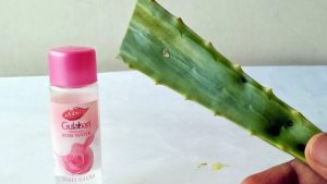 Rose Water and Aloe Vera Gel